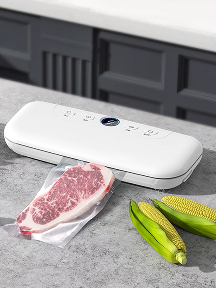 Food Storage Vacuum Sealer Machine - 100 sacs sous vide 18x25cm pour