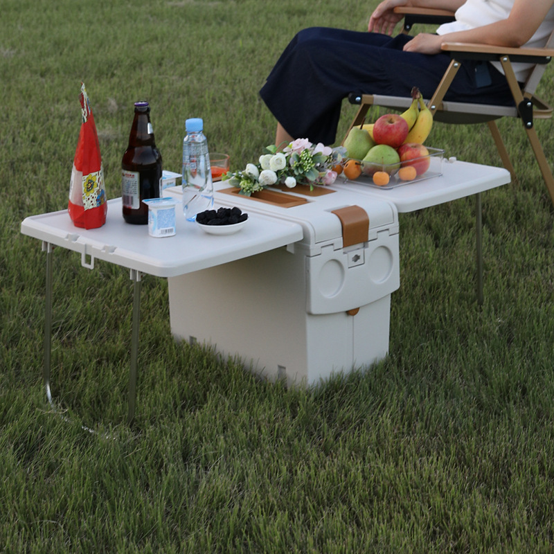 Table de camping pliable 2-en- - Food Storage Not Plastic avis et prix