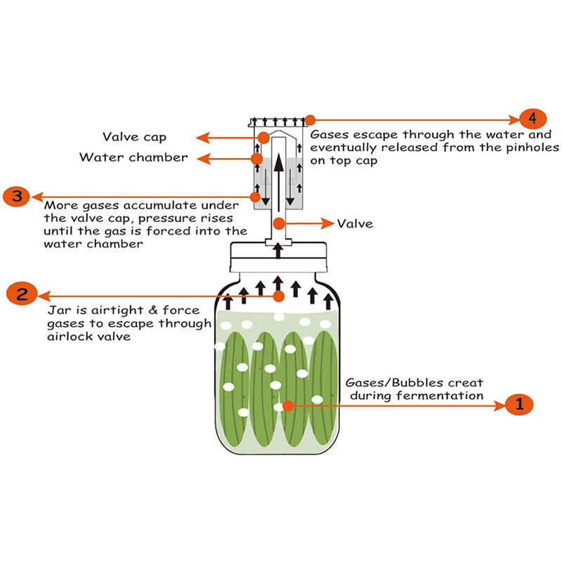 Couvercle de Fermentation de p - Mason Jar Wide Mouth avis et prix